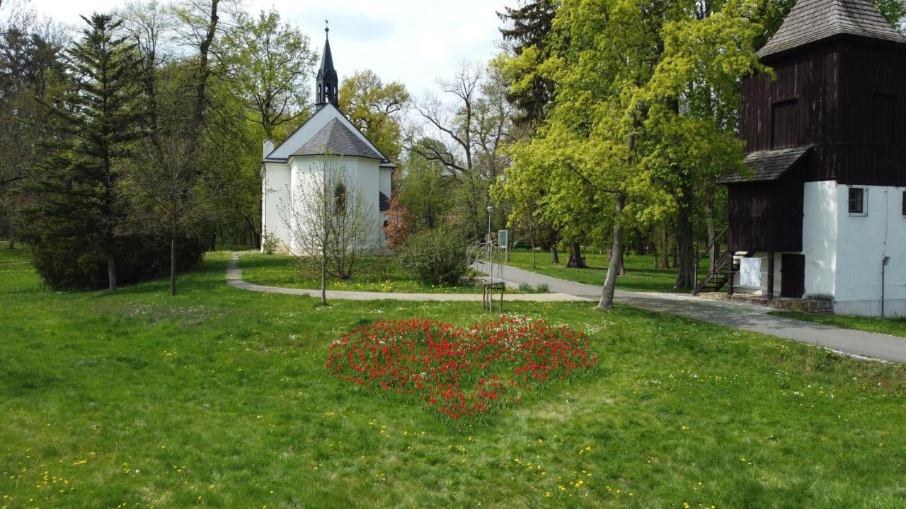 Homestay Poděbrady Buitenkant foto