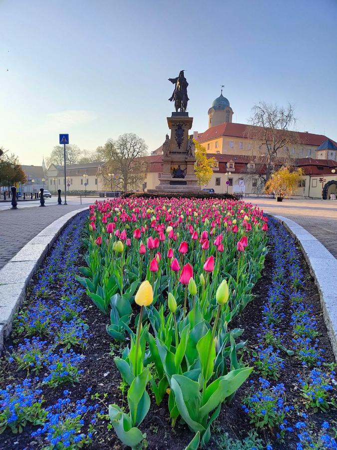 Homestay Poděbrady Buitenkant foto