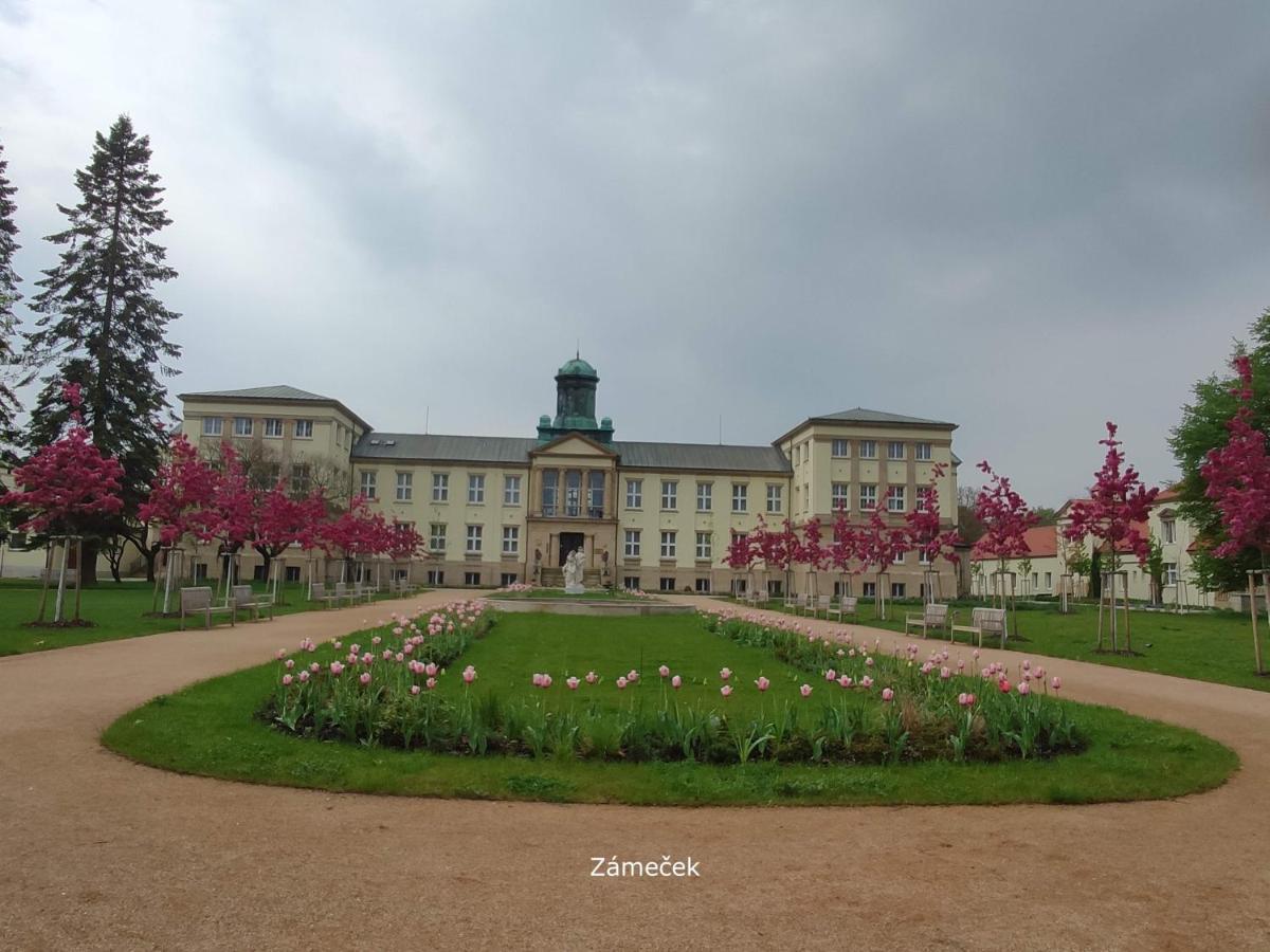 Homestay Poděbrady Buitenkant foto